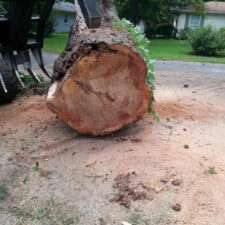 A large tree stump sitting in the middle of a yard.