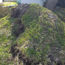 A mound of grass and dirt in the middle of a yard.