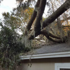 A tree that is falling on the roof of a house.
