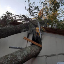 A tree that has fallen on the side of a house.