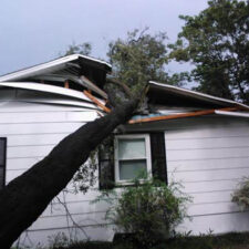 A tree that is falling down on the roof of a house.
