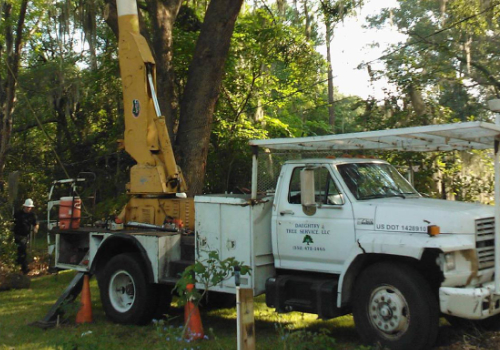 A white truck is parked next to a tree.