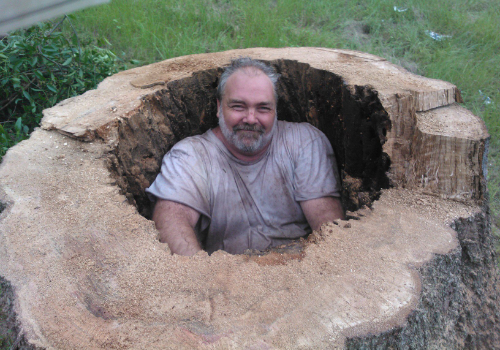 A man sitting in the middle of a tree stump.